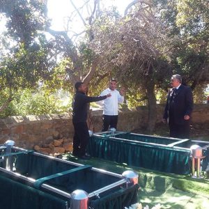 aurora funeral consultancy graveside